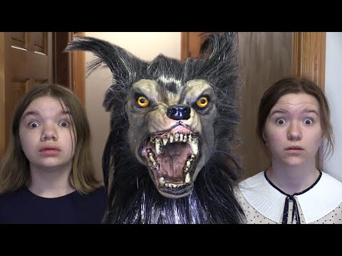 Evil-dog Hakkında Bilgiler