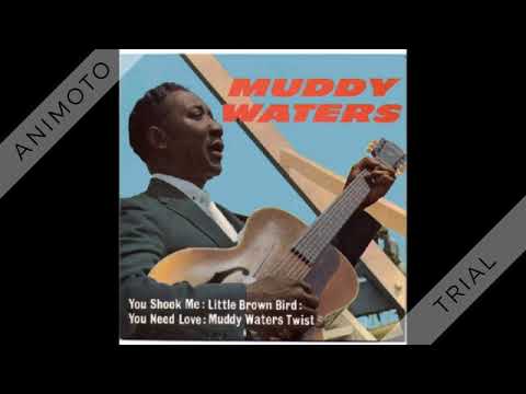 Muddy Waters / Led Zeppelin Hakkında Bilgiler