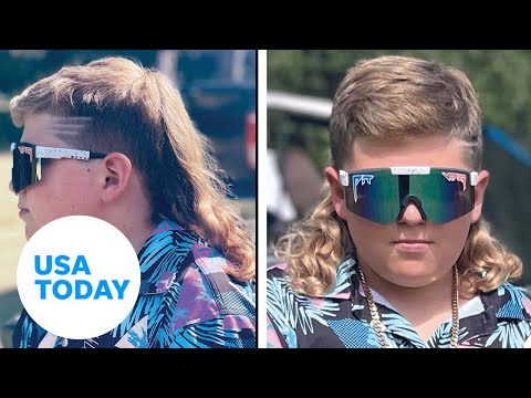 Mullets Hakkında Bilgiler