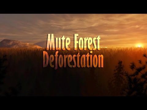 Mute Forest Hakkında Bilgiler