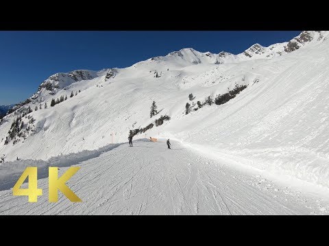 Nebelhorn Hakkında Bilgiler