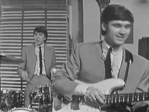 The Merseybeats Hakkında Bilgiler